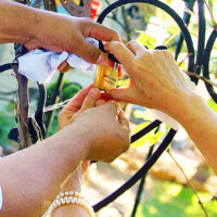 Selected scenes from the inaugural event on June 4, 2016 at the Greenhouse on Woodland in Lakeside Arizona.
Photos by Karla Ent, Karla Ent Photography