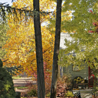 General photography at the Greenhouse on Woodland, Pinetop/ Lakeside Arizona's premiere destination wedding venue